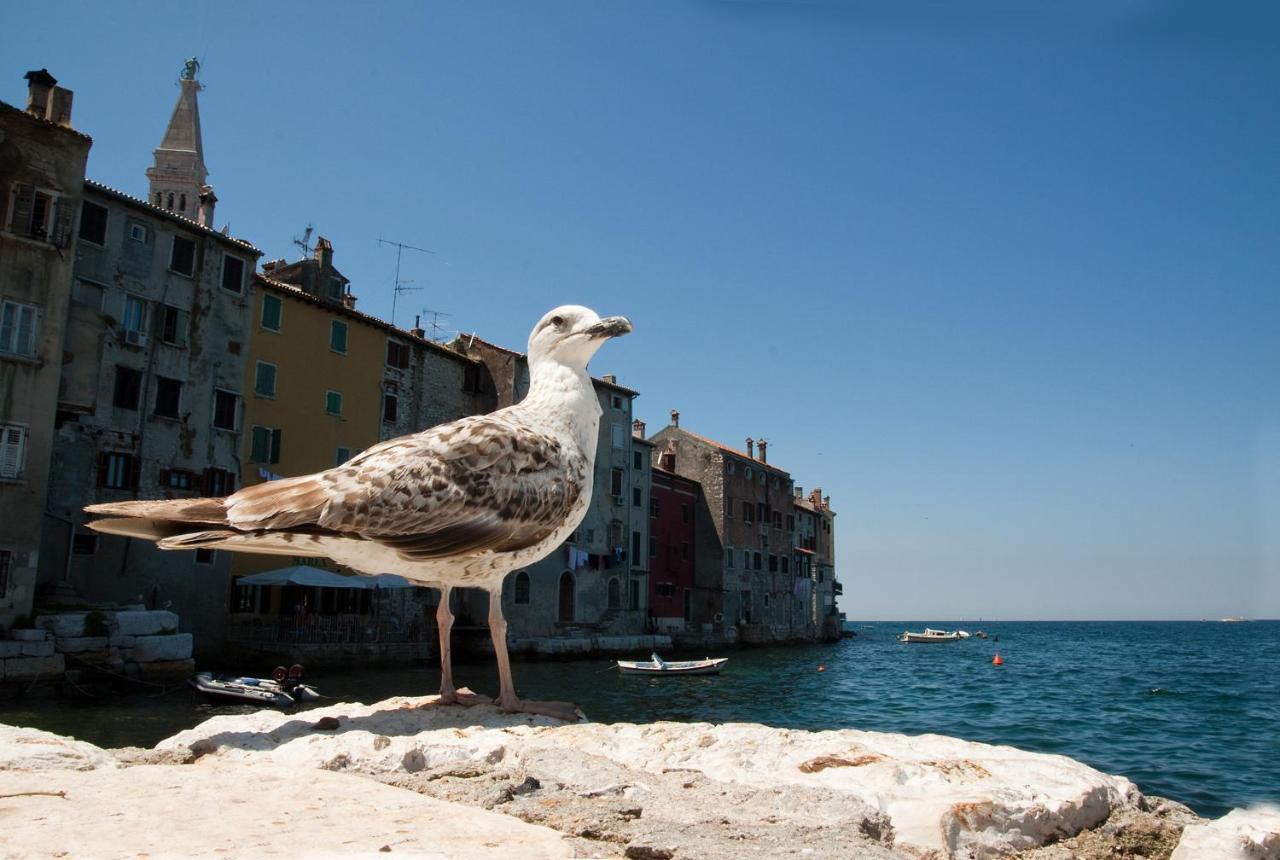 Maximus Apartment Rovinj Luaran gambar